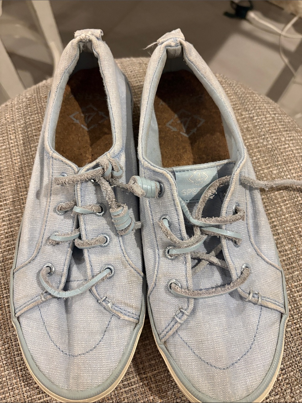 Sperry Light Blue Canvas Sneakers